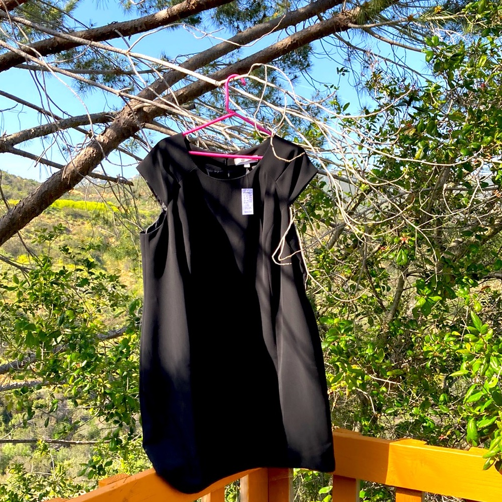 Jones studio proper black dress